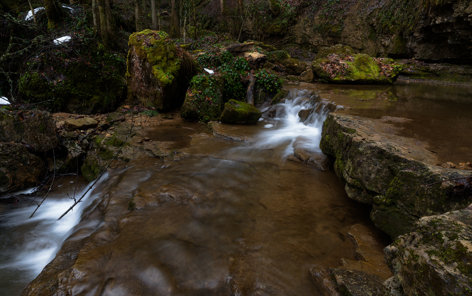 Во влажном сумраке ущелья