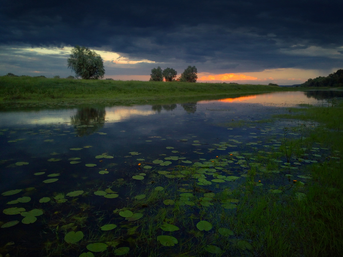Догорал летний вечер