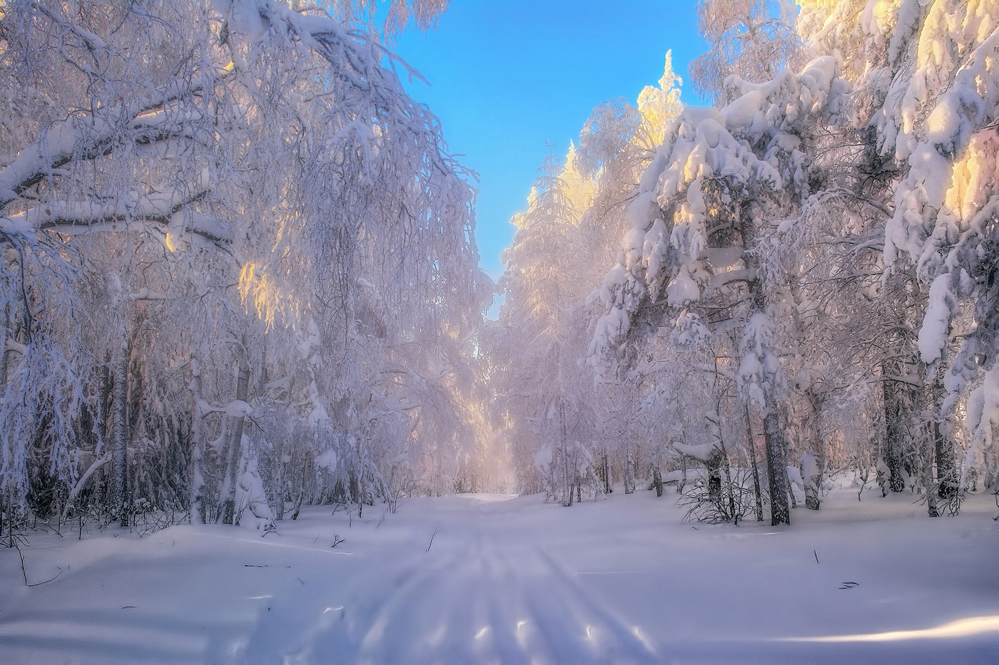 Снежная аллея