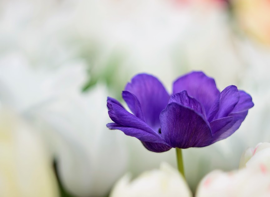 Весна пришла!