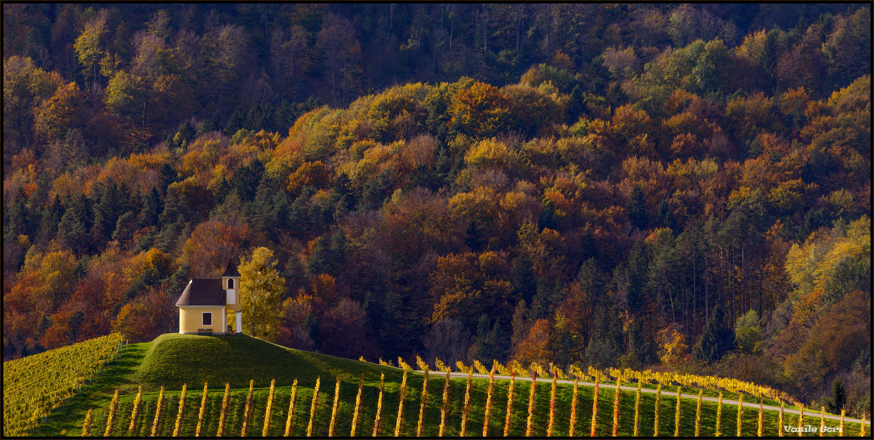 Осенние зарисовки.