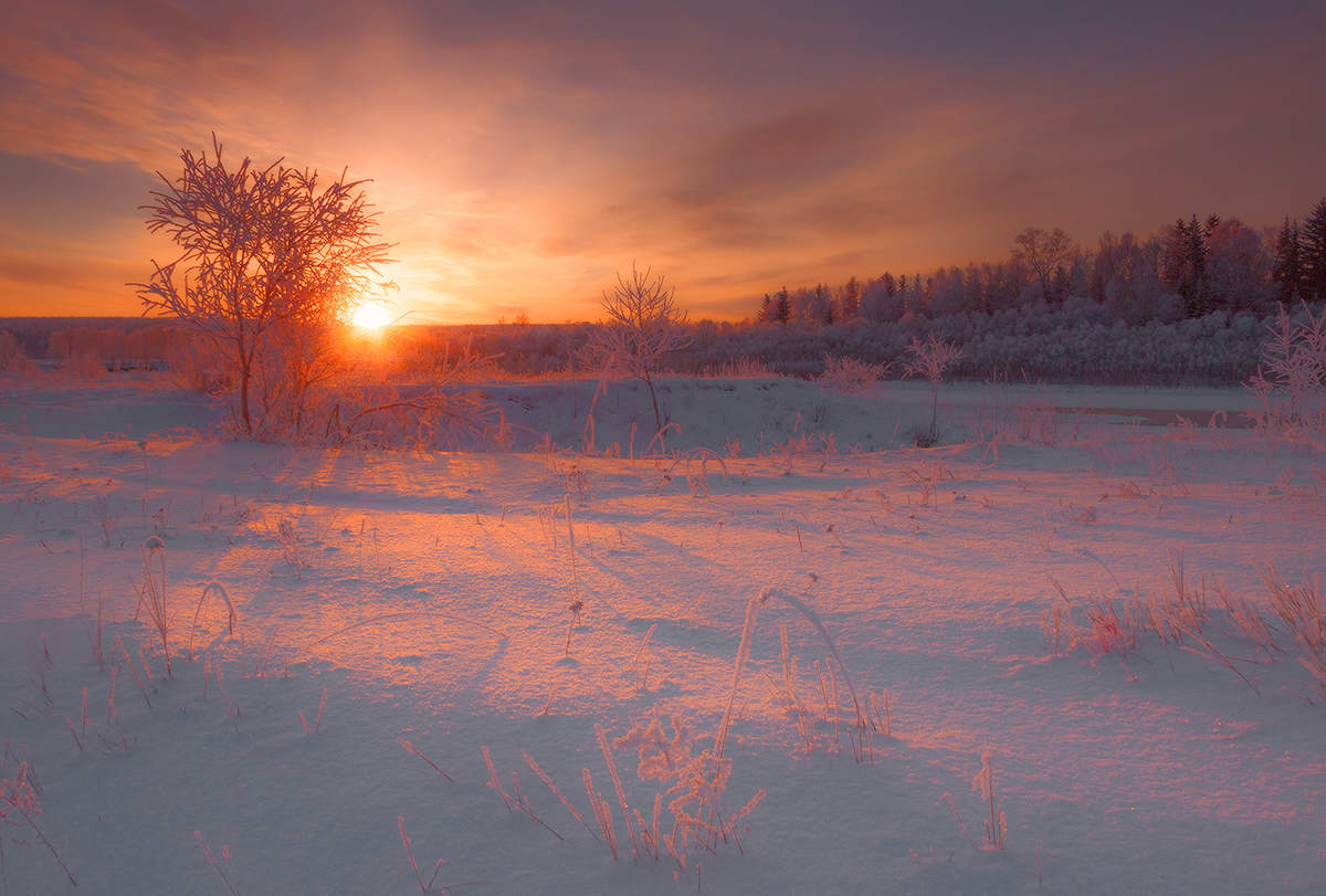 В утреннем свете