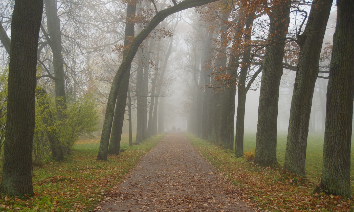 Осеннее утро...