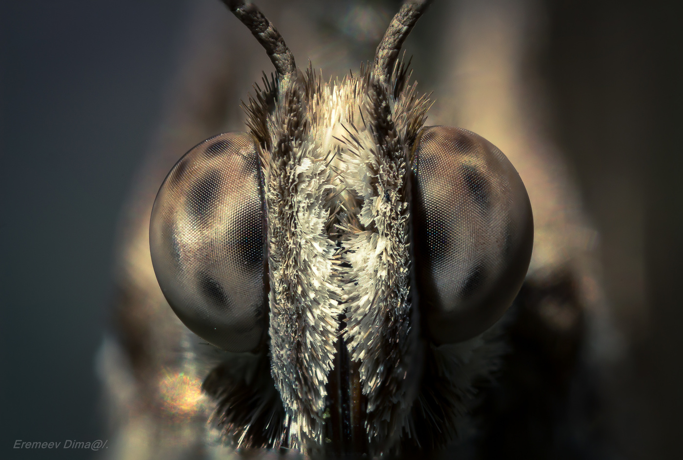 Настоящий монстр...