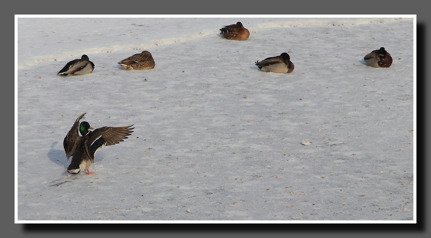 Руки шире три, четыре ...