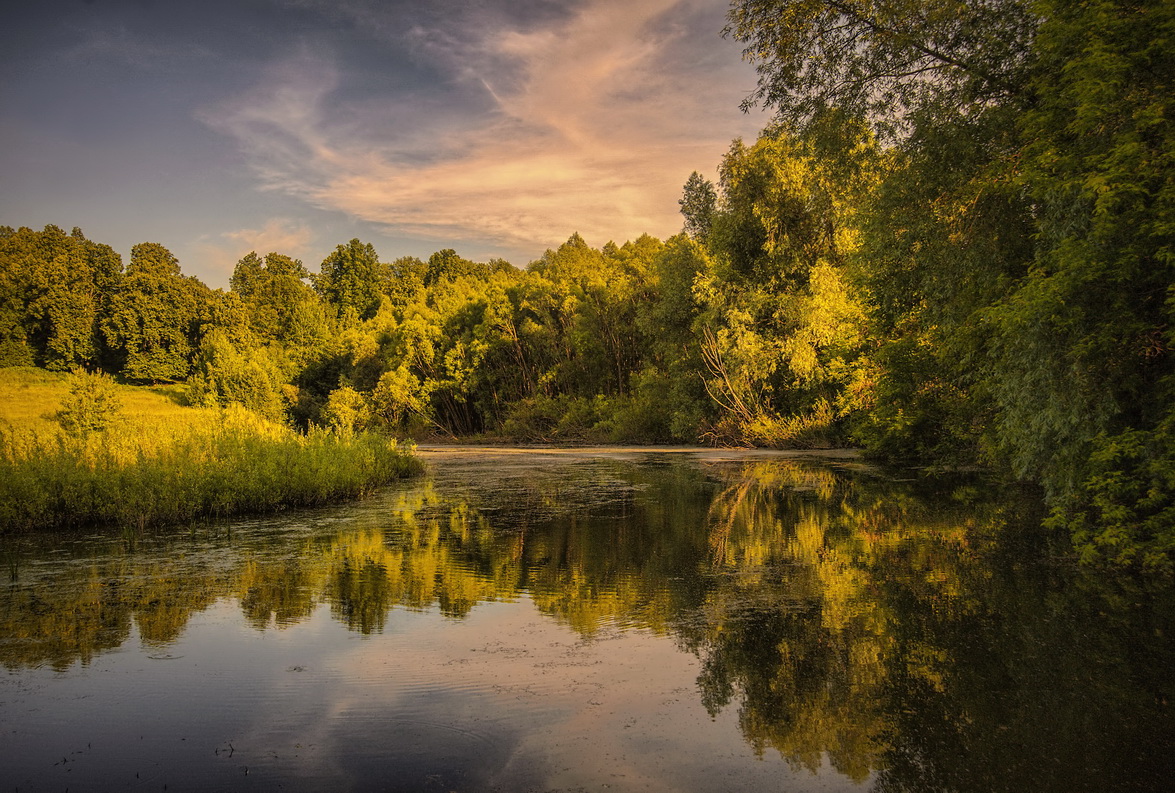 Речная заводь