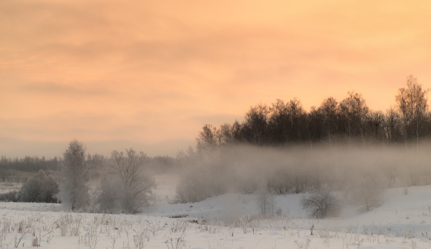 Под покрывалом тумана