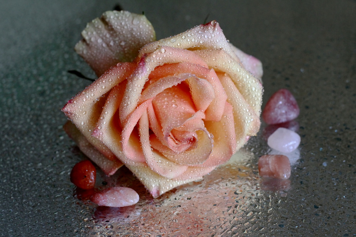 Как хороши, как свежи были розы (Иван Тургенев)