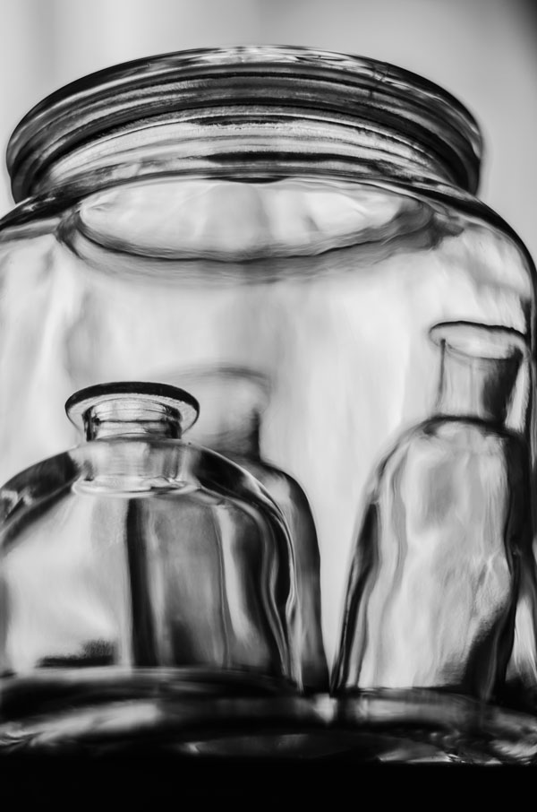 новые жители