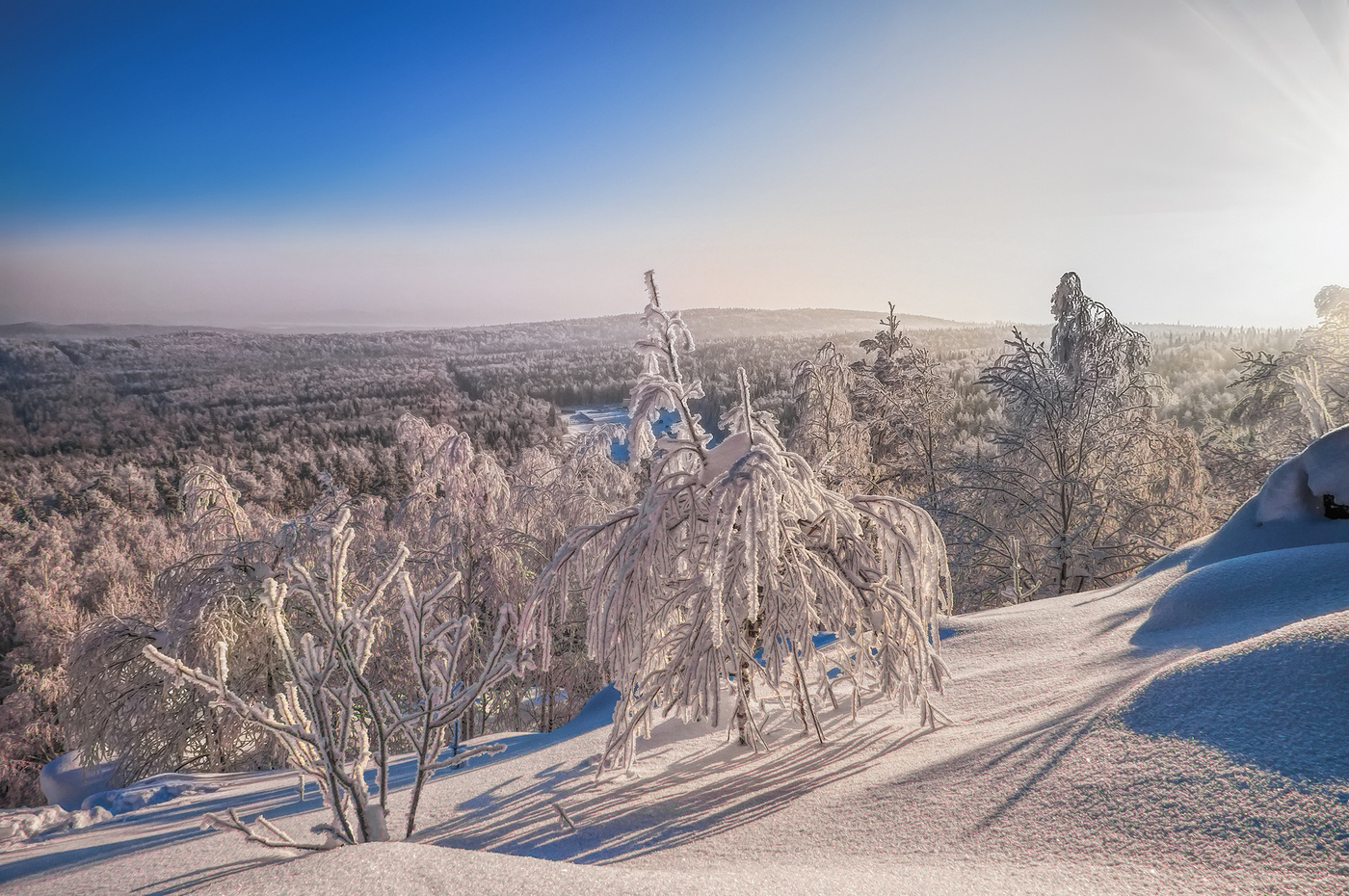 Зимний полдень