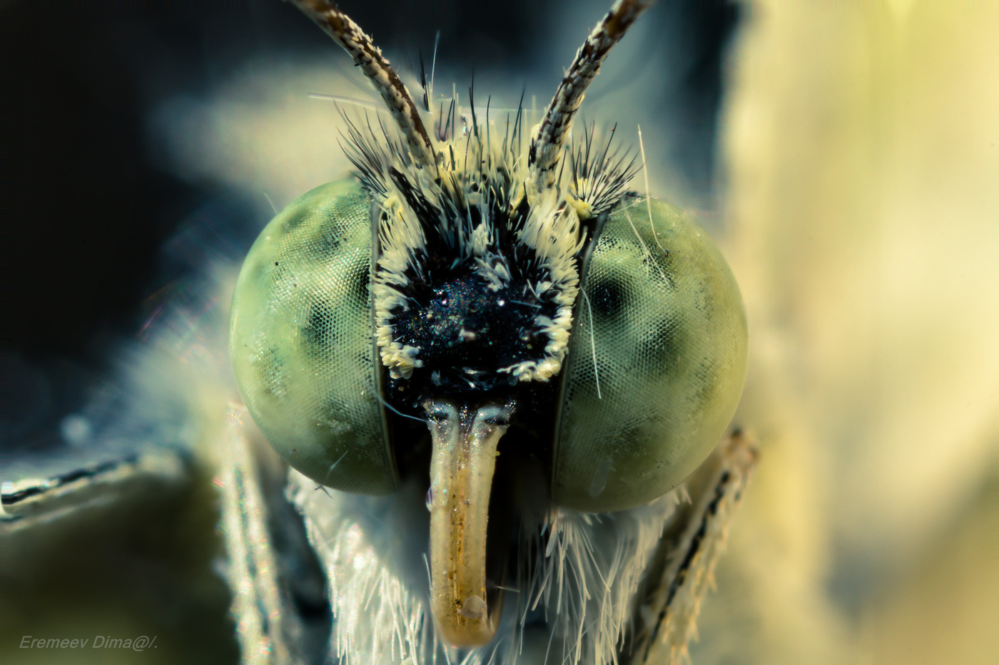 Белый монстр...