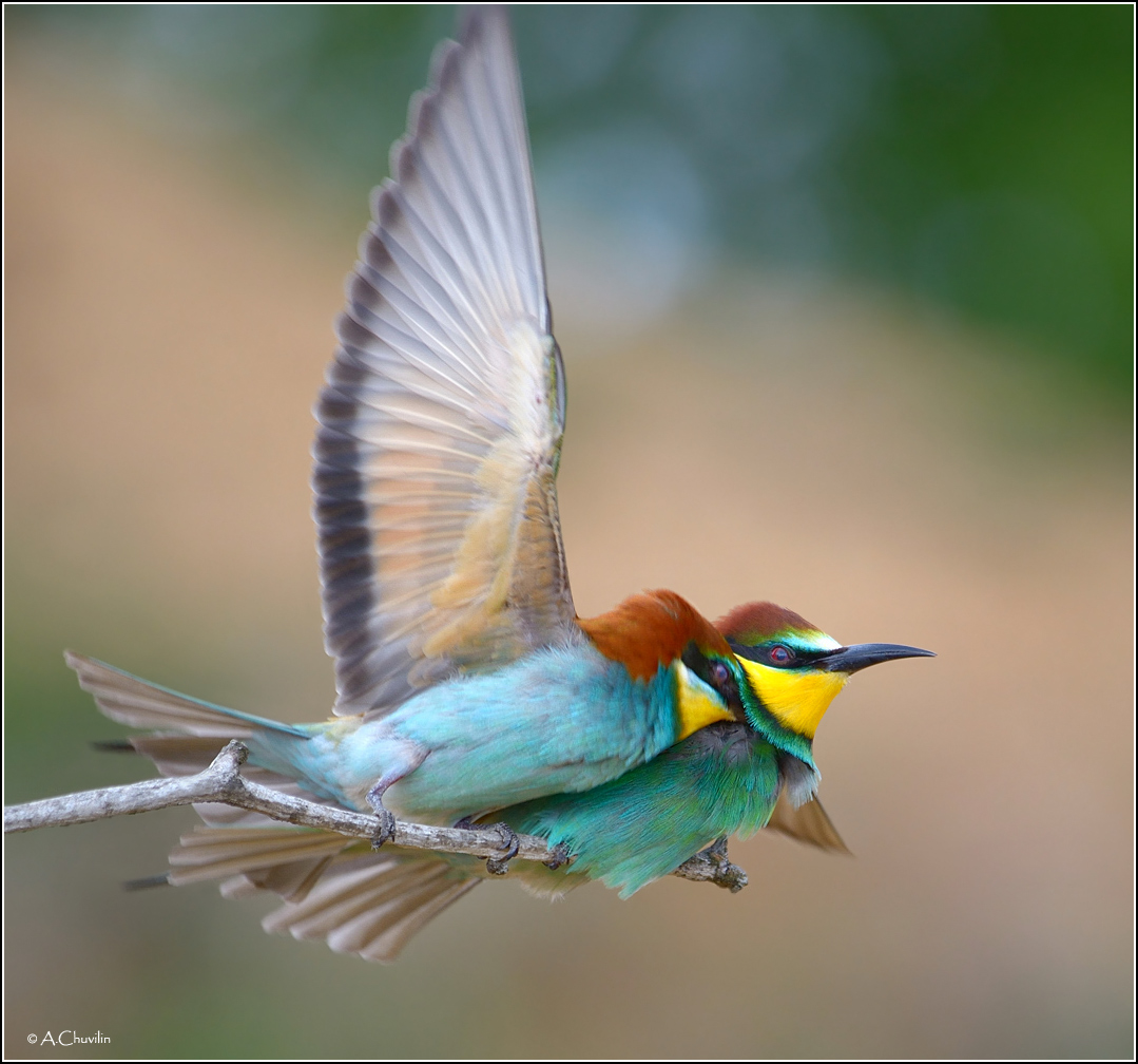 Мгновенье счастья