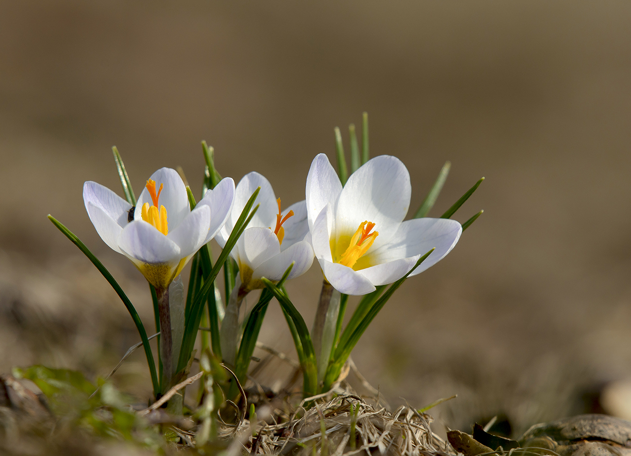 С праздником!