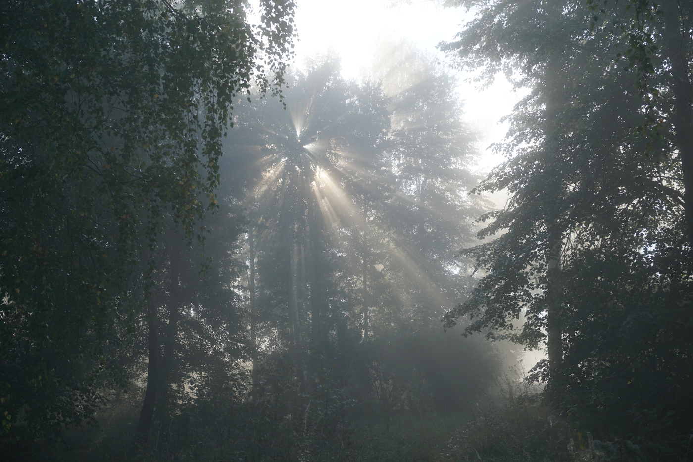 Утро нового дня.