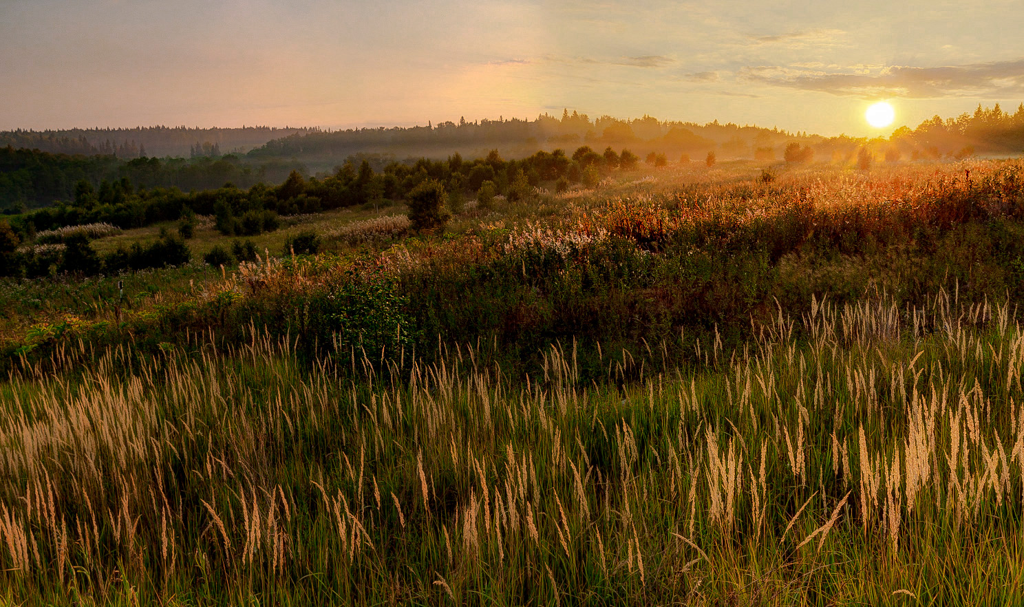 На светлой стороне