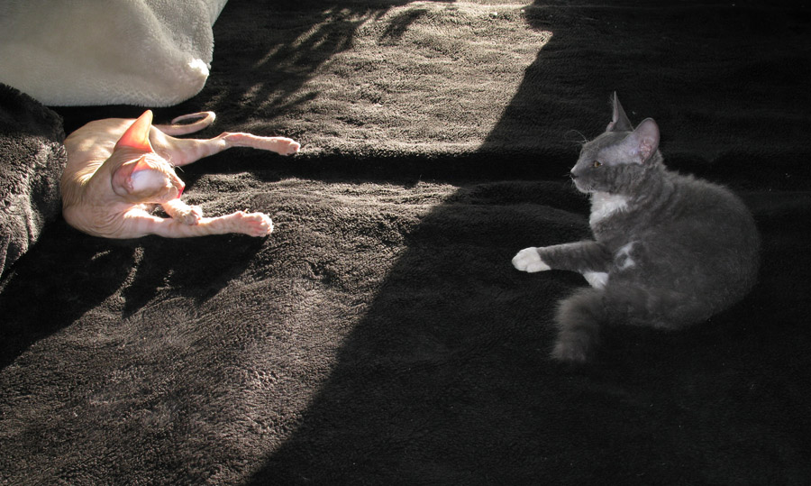 На светлой стороне