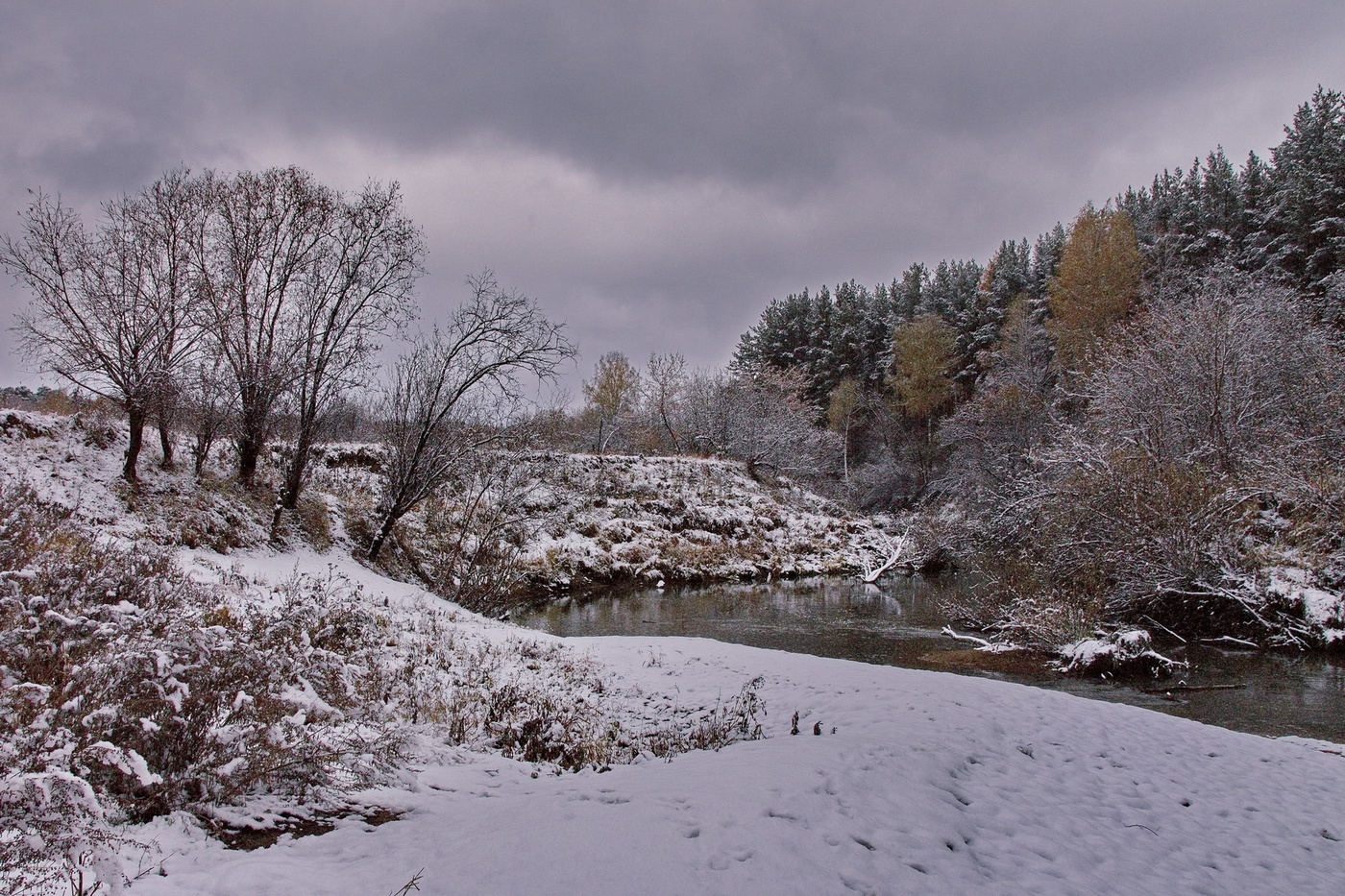 ОСЕНЬ. ПЕРВЫЙ СНЕГ