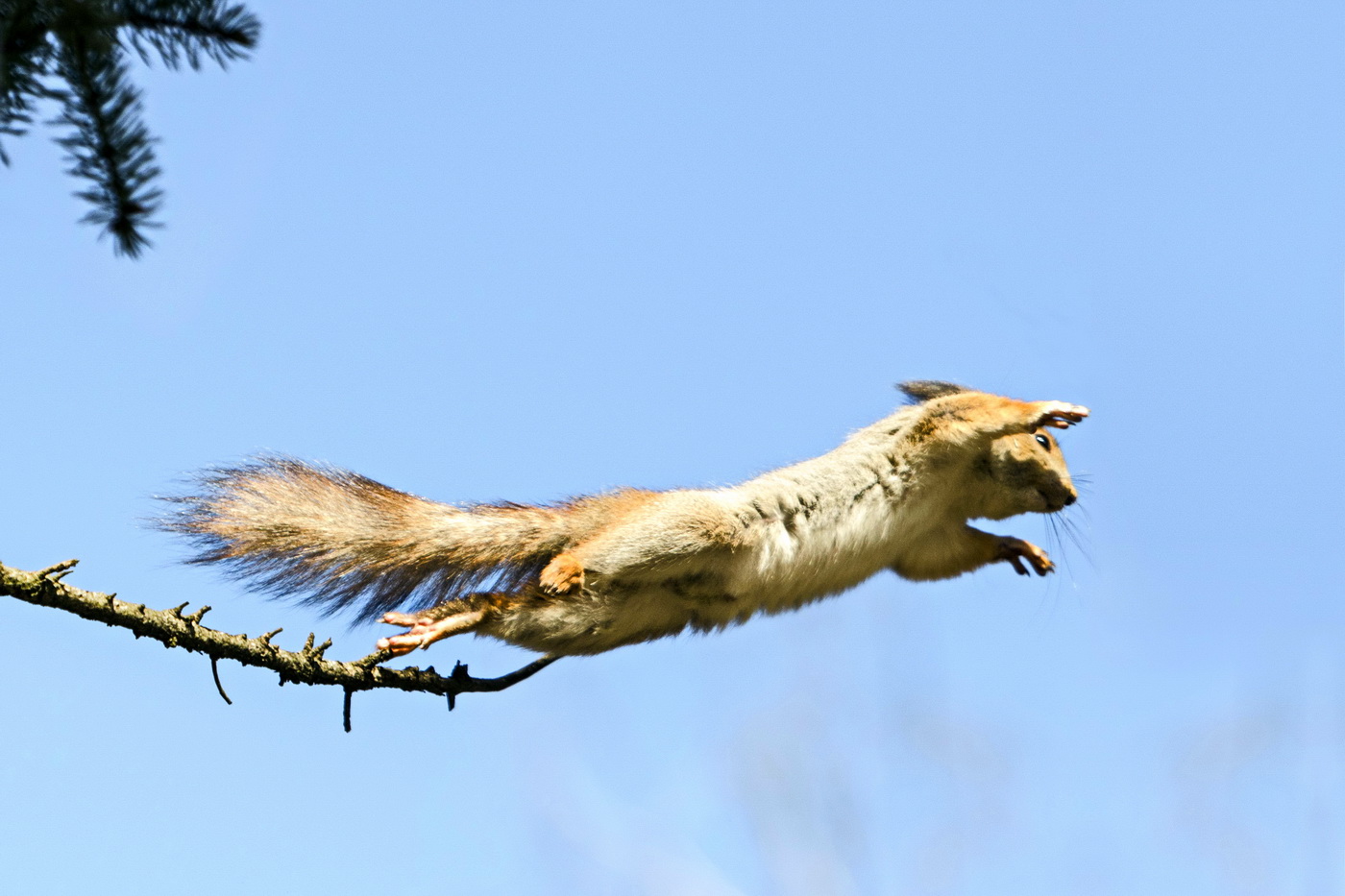 На светлой стороне