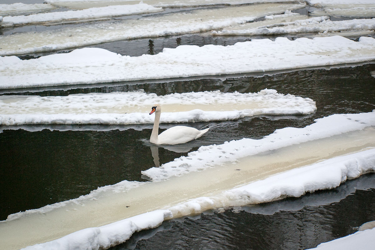 В лабиринте