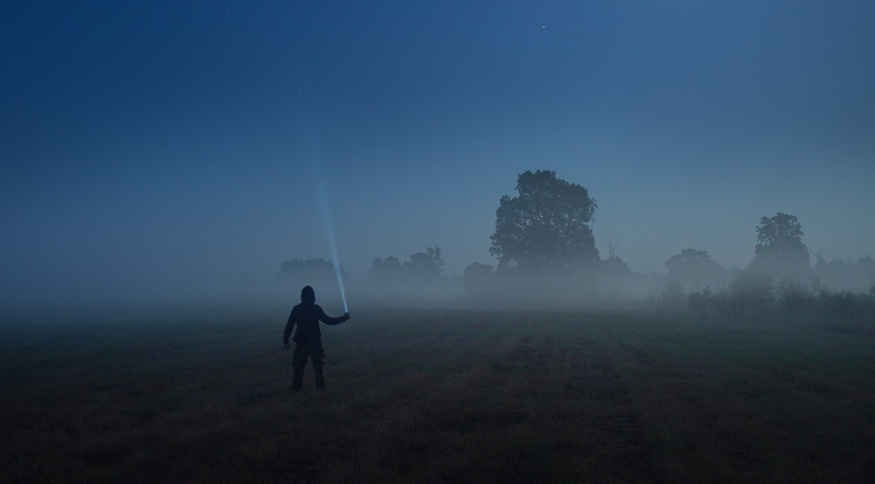 На светлой стороне