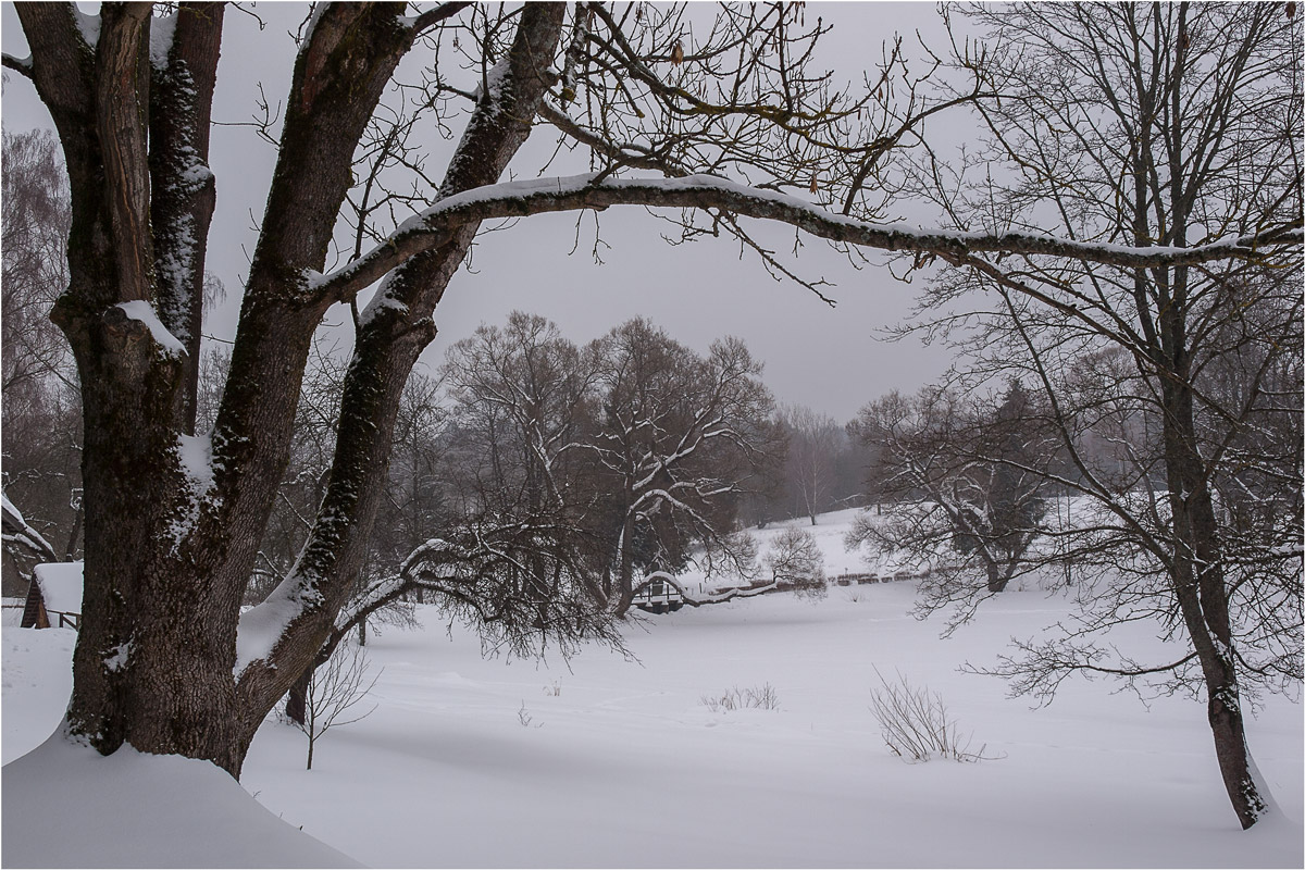 Туманный март