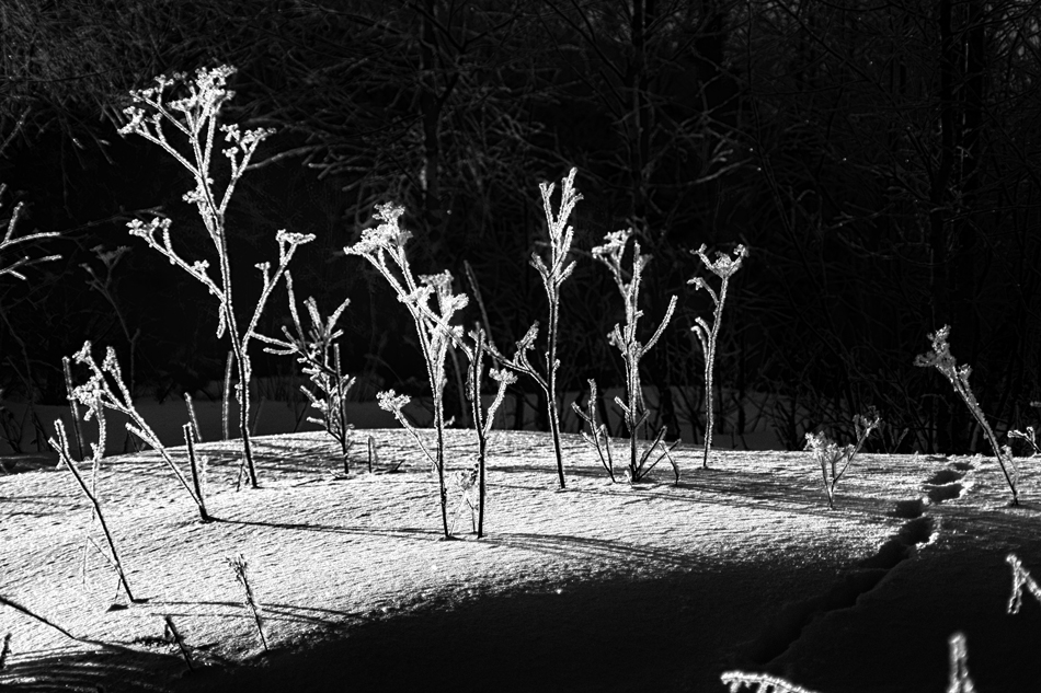 на светлой стороне