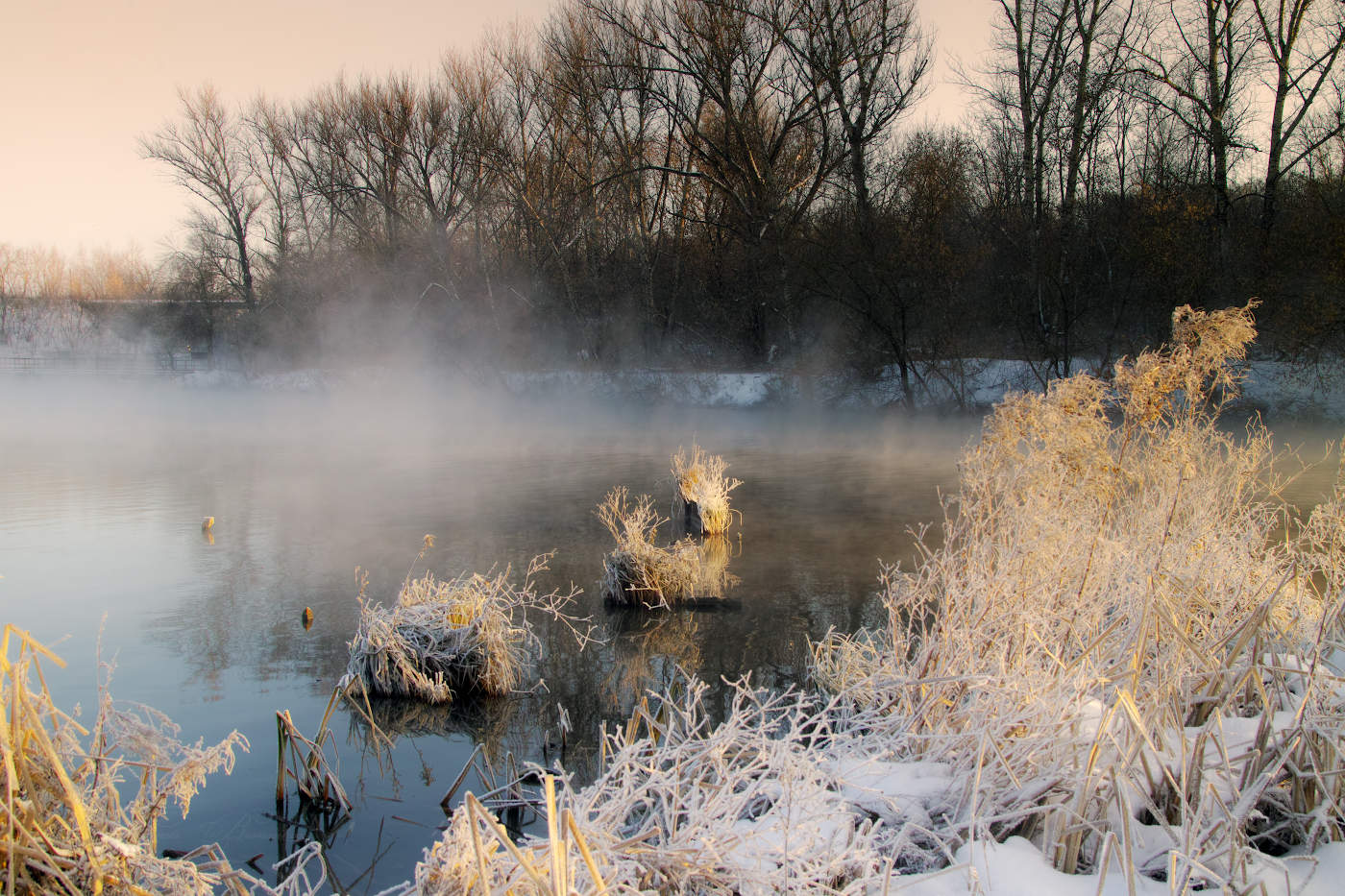 В гостях у водяного