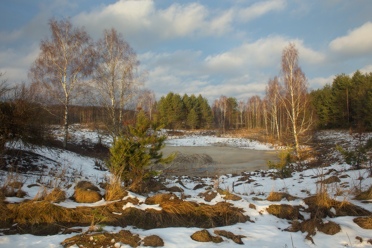 Урочище Комары