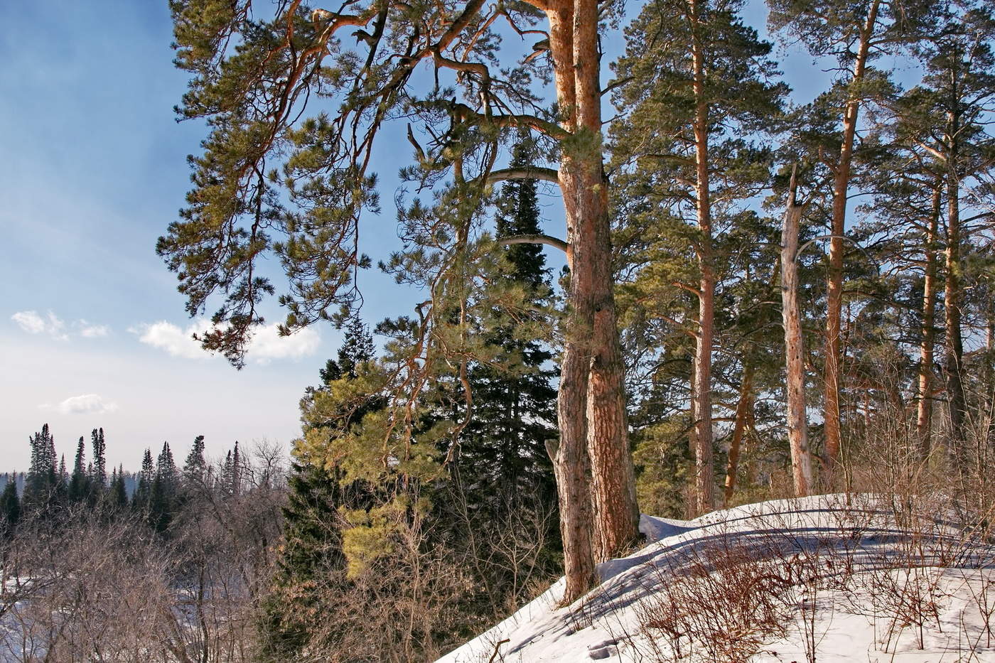 МАРТОВСКОЕ СОЛНЦЕ