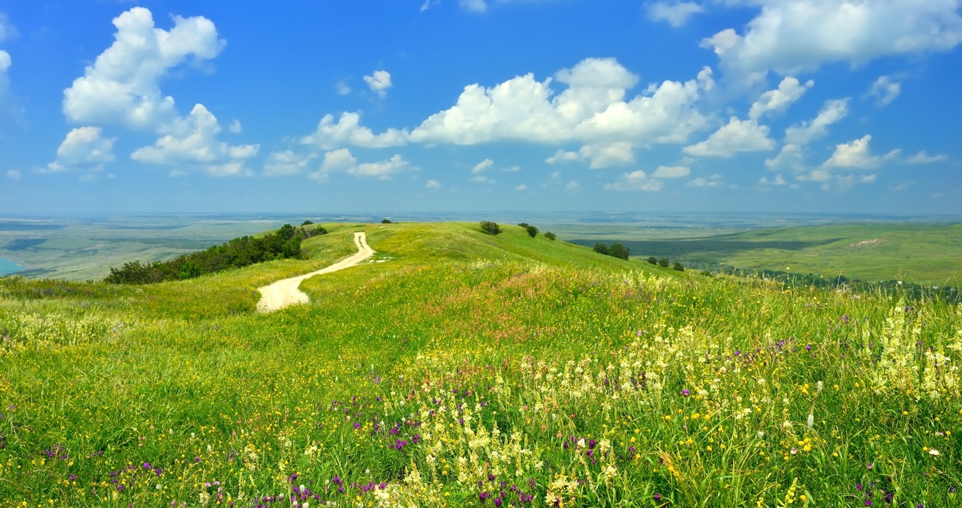 Лето красное