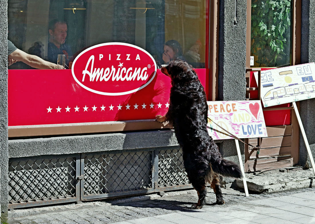 Любопытный