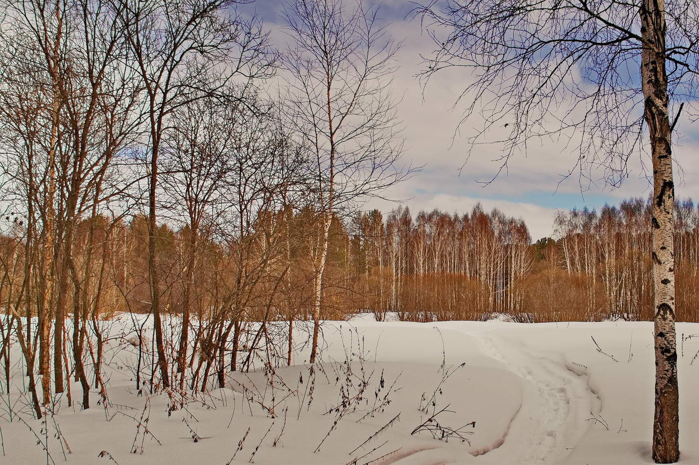 СКОРО ВЕСНА