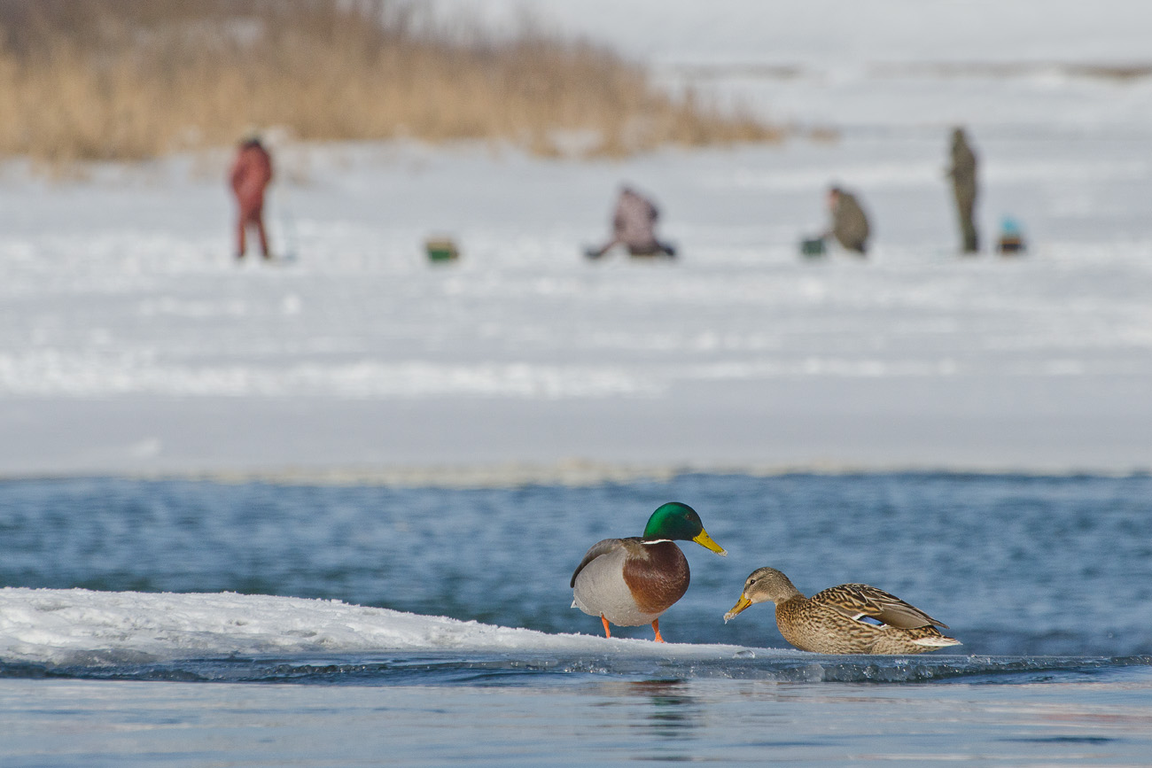 Назначай поскорее свидание