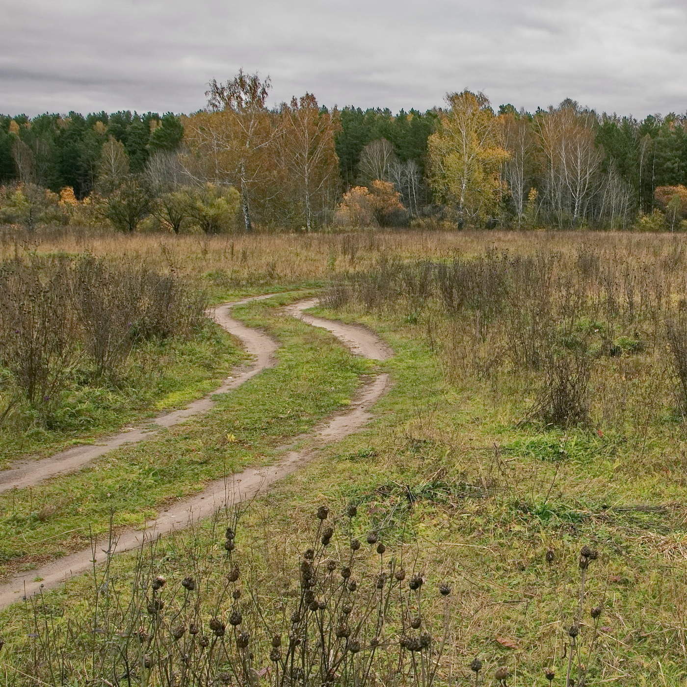 ОСЕННИЙ ПОЛДЕНЬ