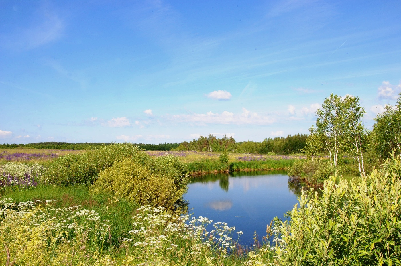 Это Родина моя.