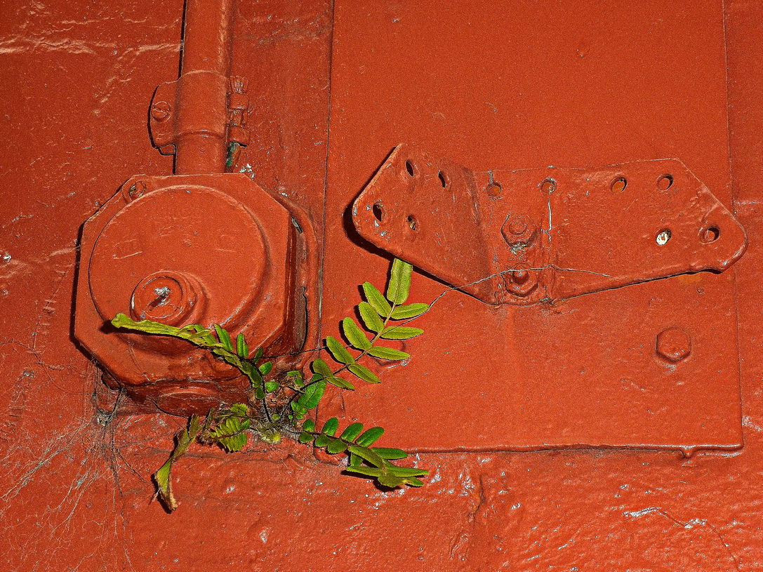 Минимальная пятница