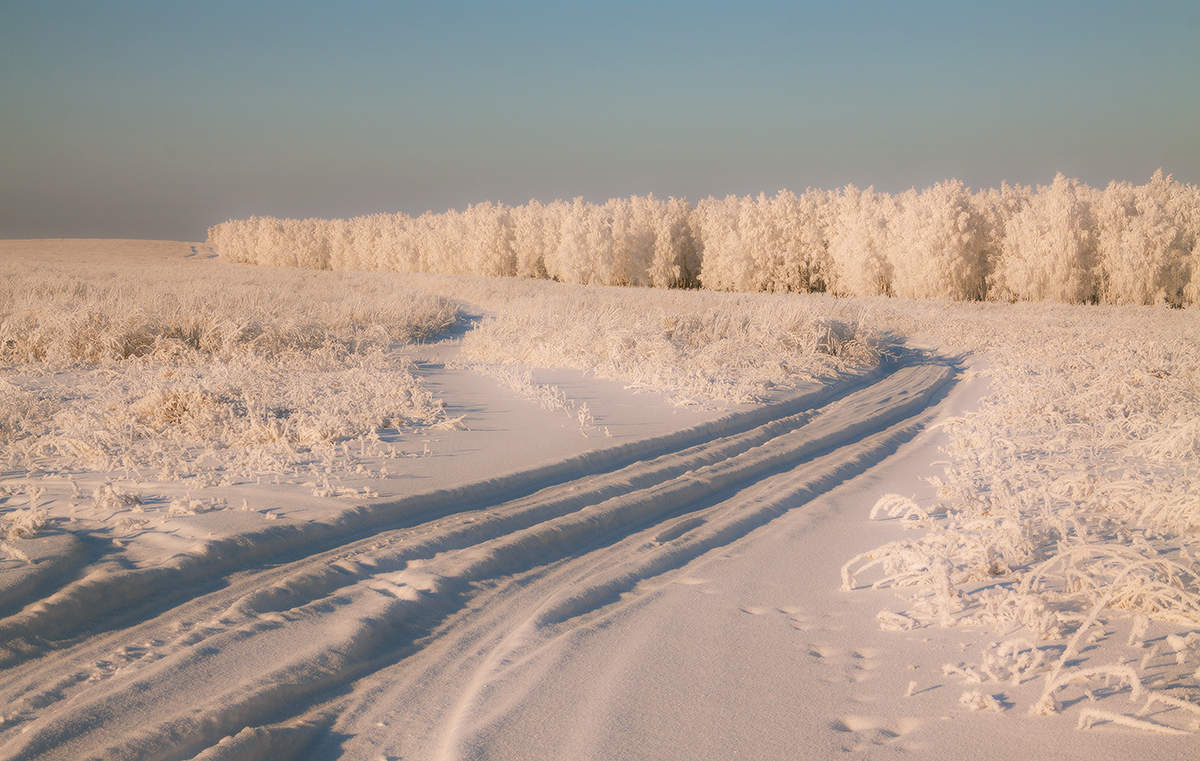 Эх,дороги...