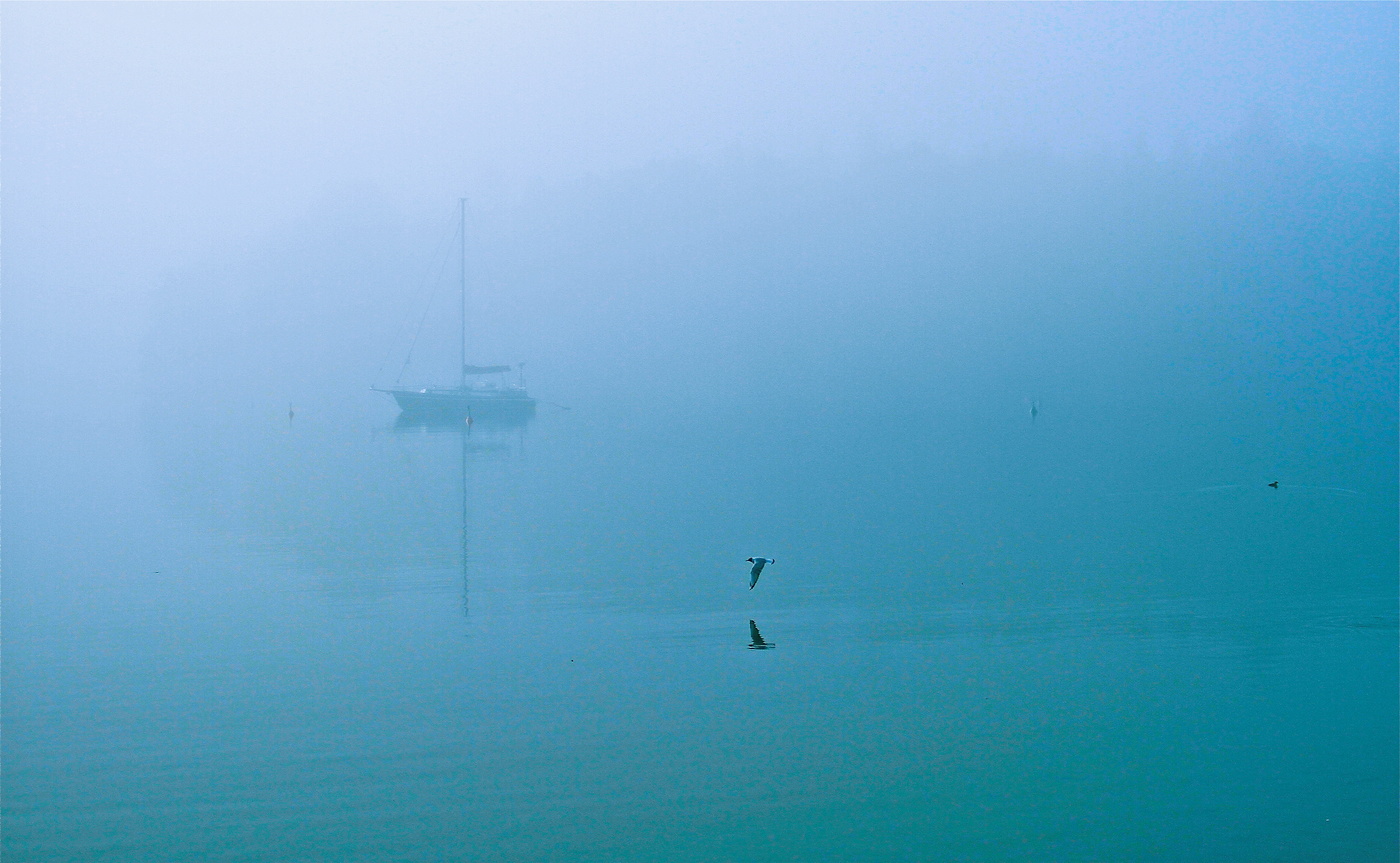 Яхта. Чайка.