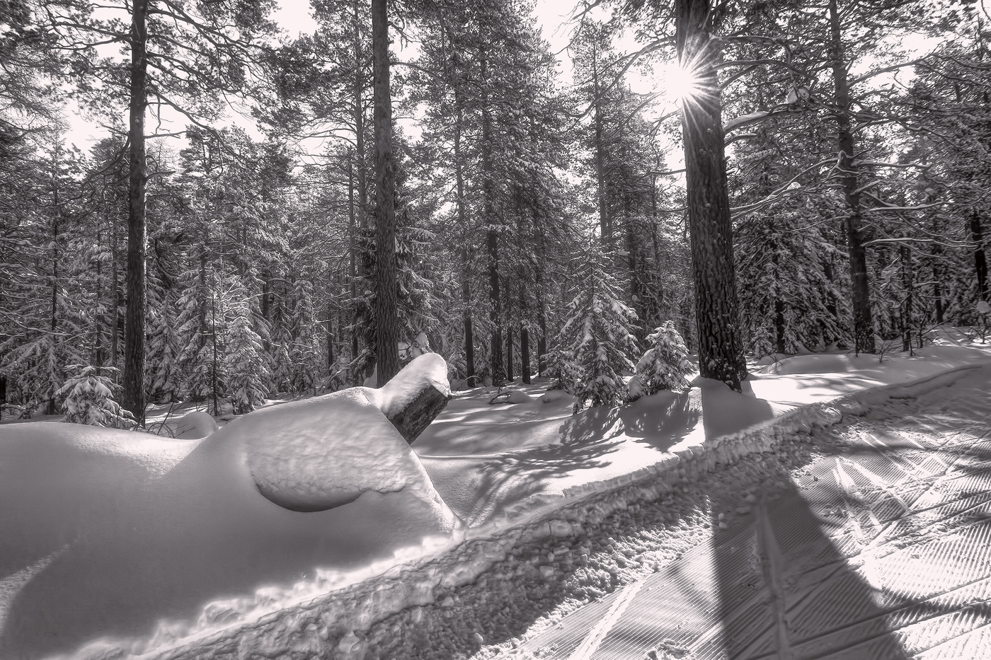 Зимний полдень