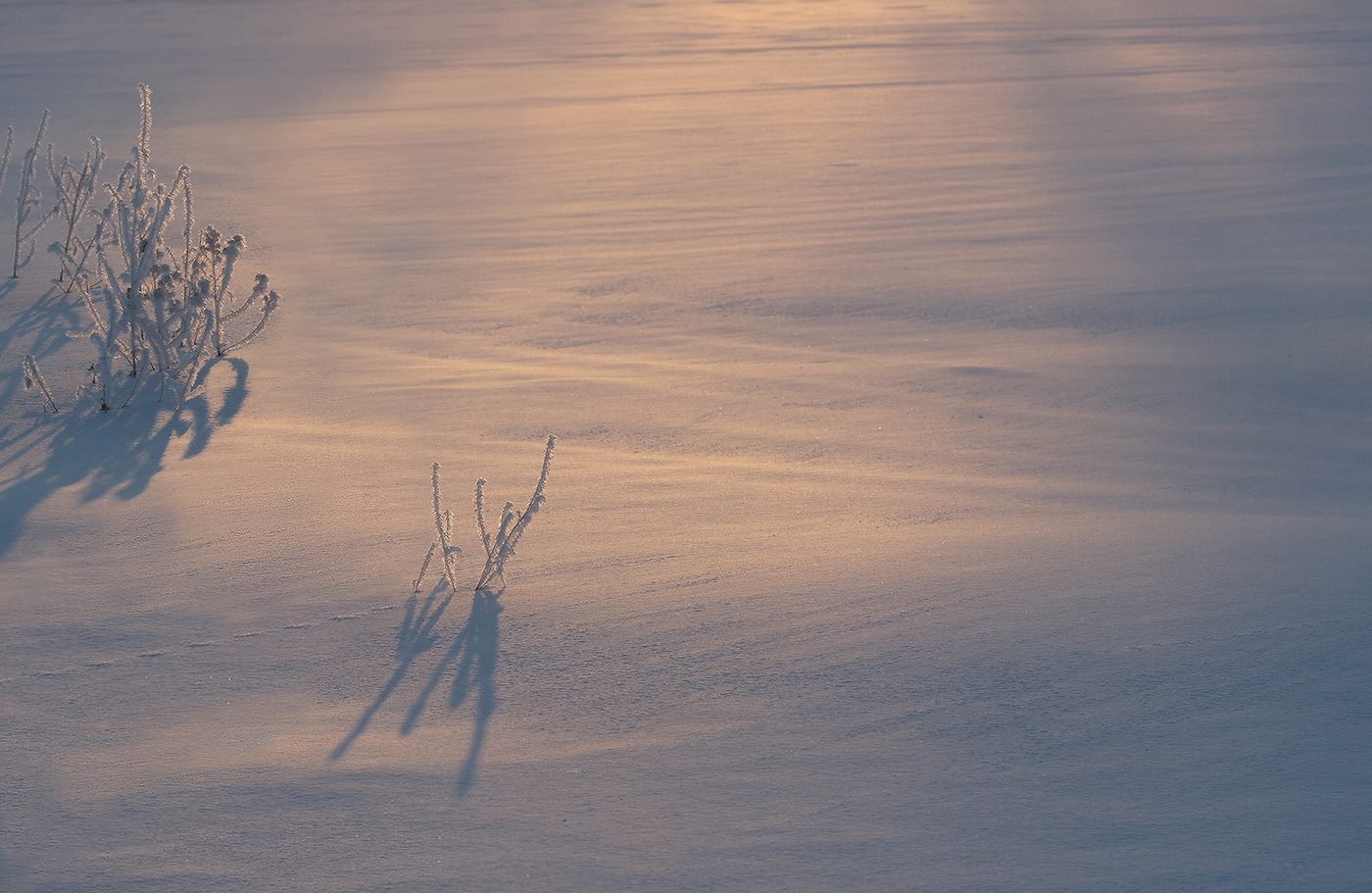Минимальная пятница