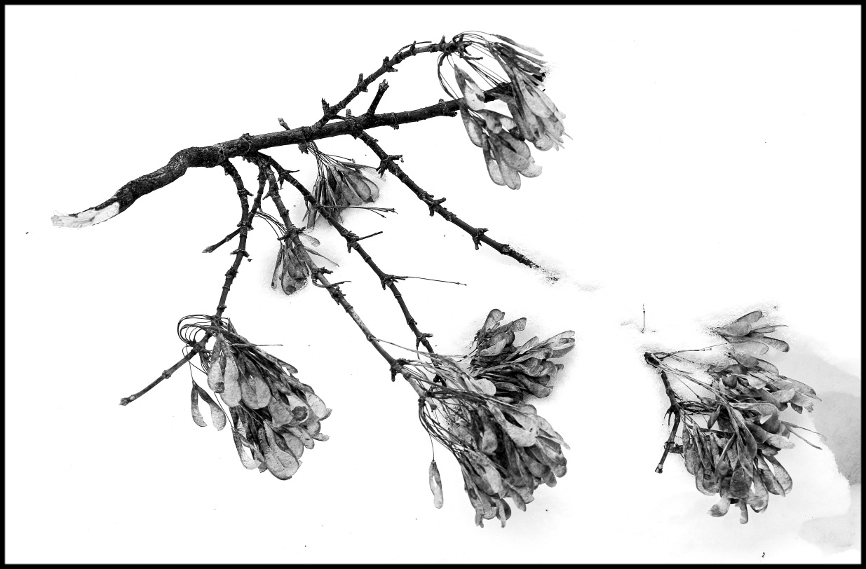 Минимальная пятница