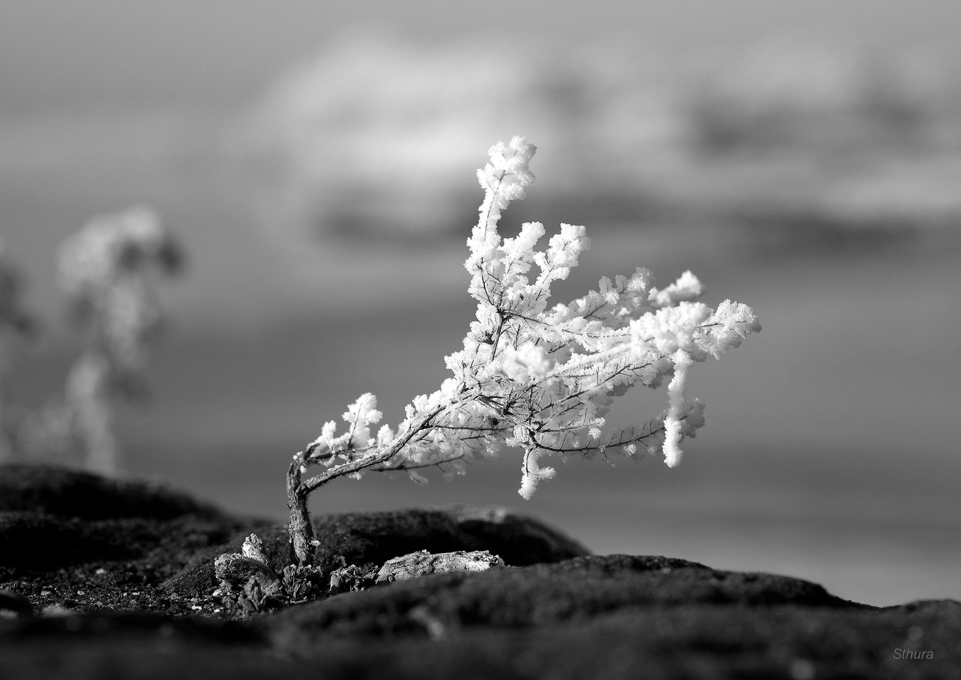 Минимальная пятница