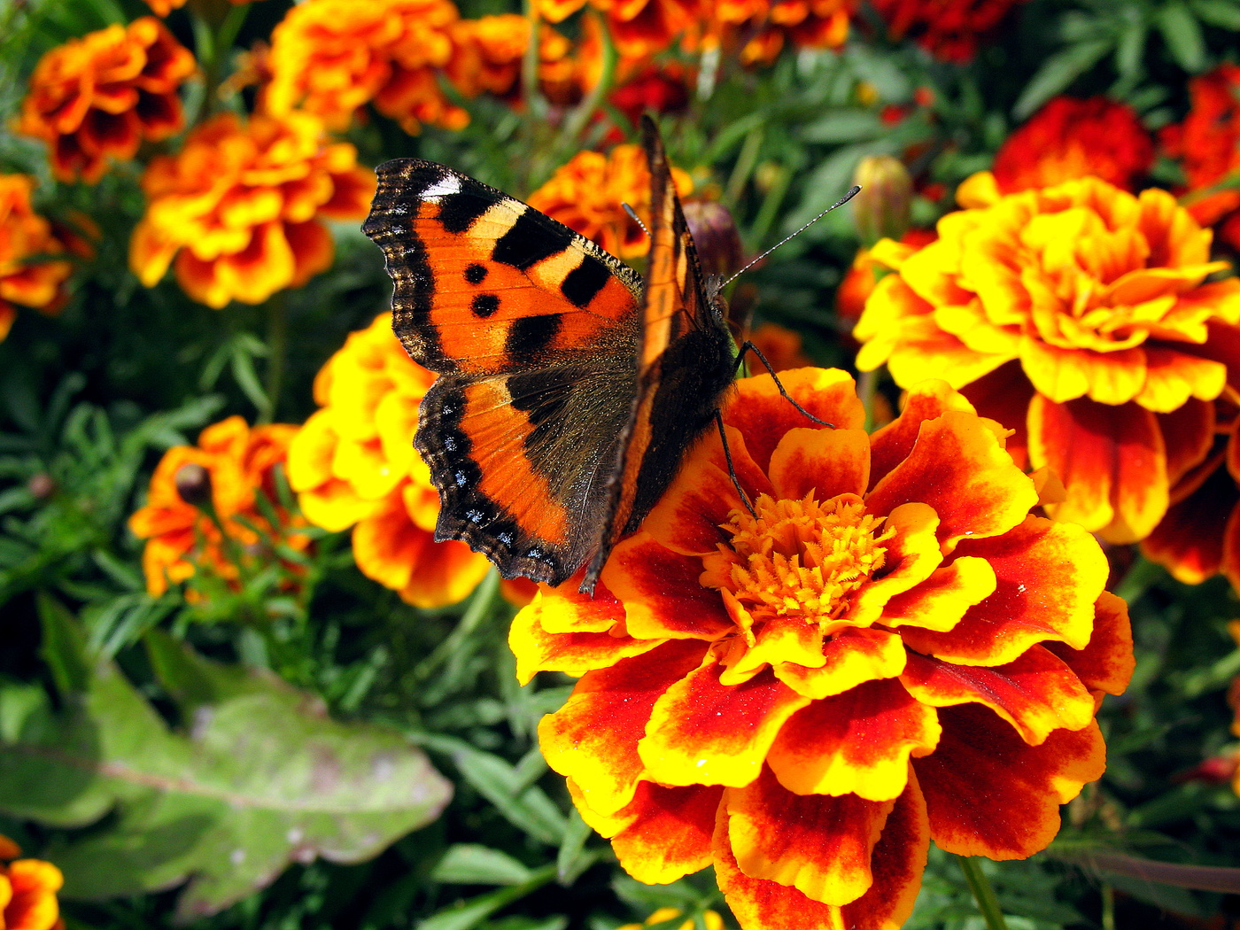 Отвернулась