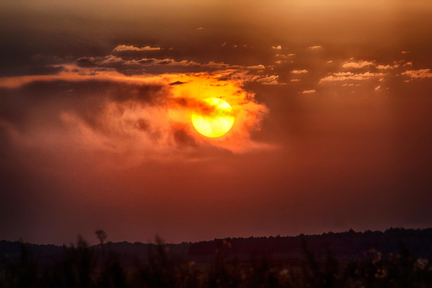 Солнце в рукове.