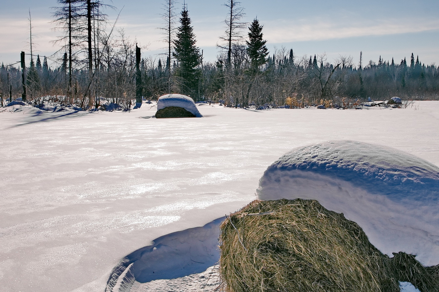 *МАРТОВСКИЙ СНЕГ**