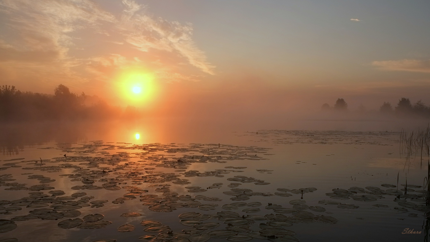 Рассвет на озере.