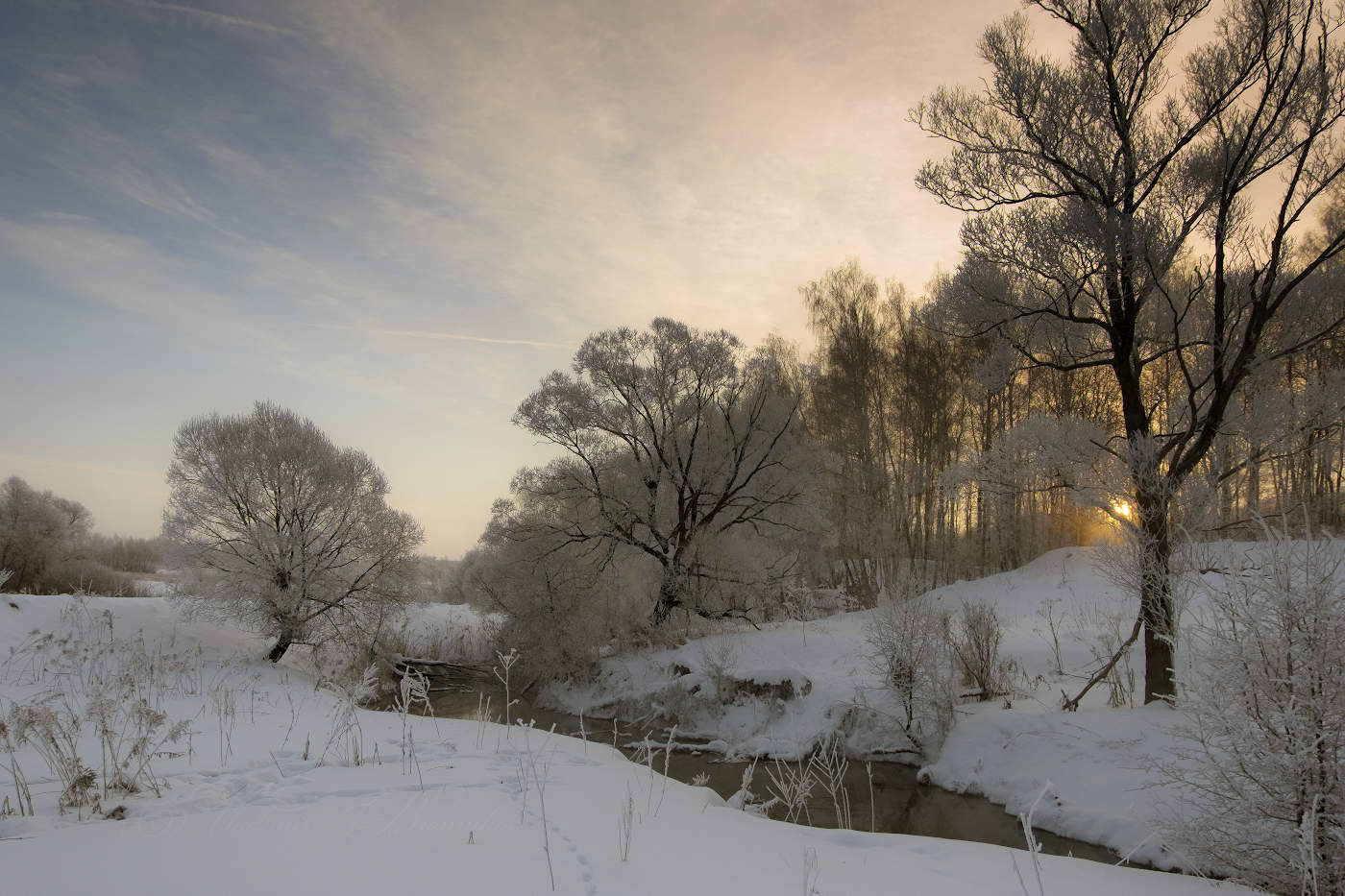 А за мартовским лесом солнце встаёт