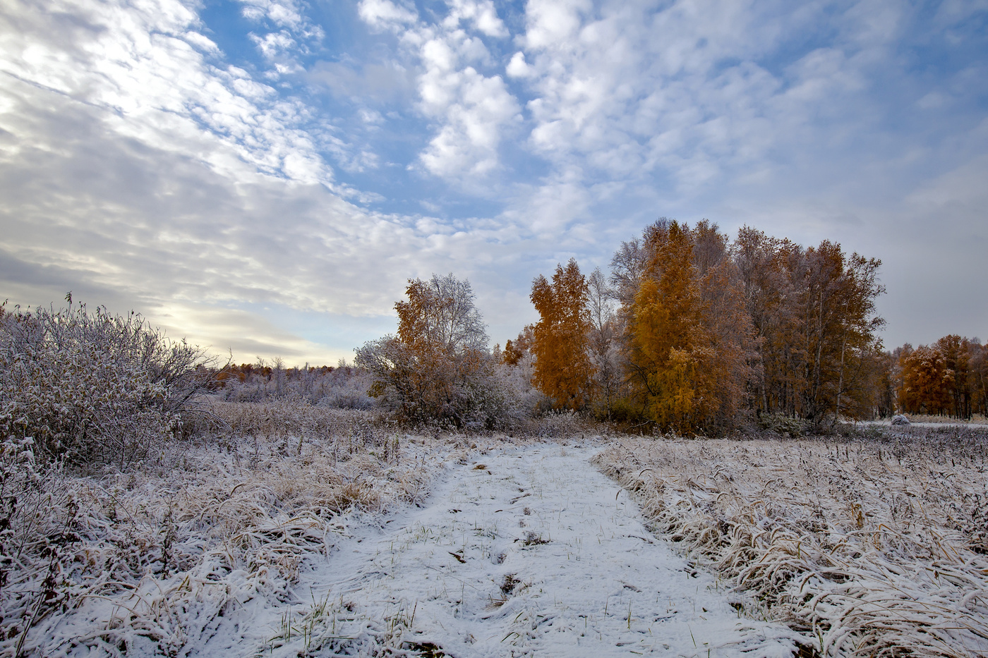 Снова осень.
