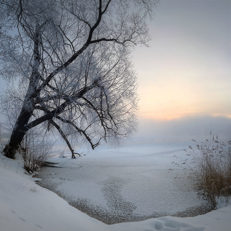 Зимовье для одинокой лодки..