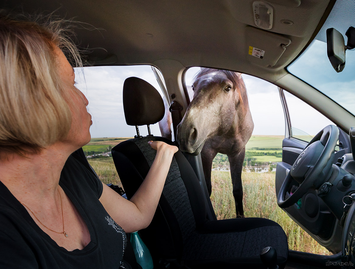 Не нужна ли еще лошадиная сила?